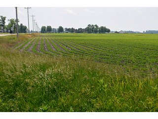 Property photo 10 - LAND AUCTION - 700+/- ACRES OFFERED IN 16 TRACTS IN ALLEN COUNTY, INDIANA